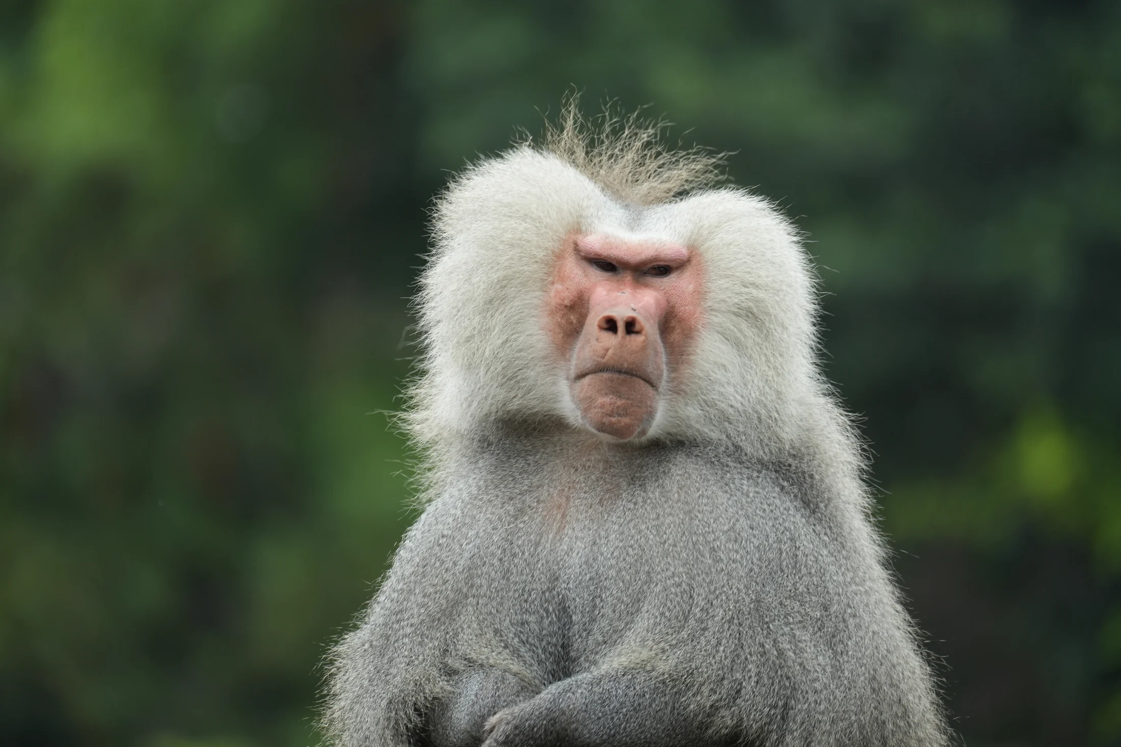 No, I am not having a bad hair day.