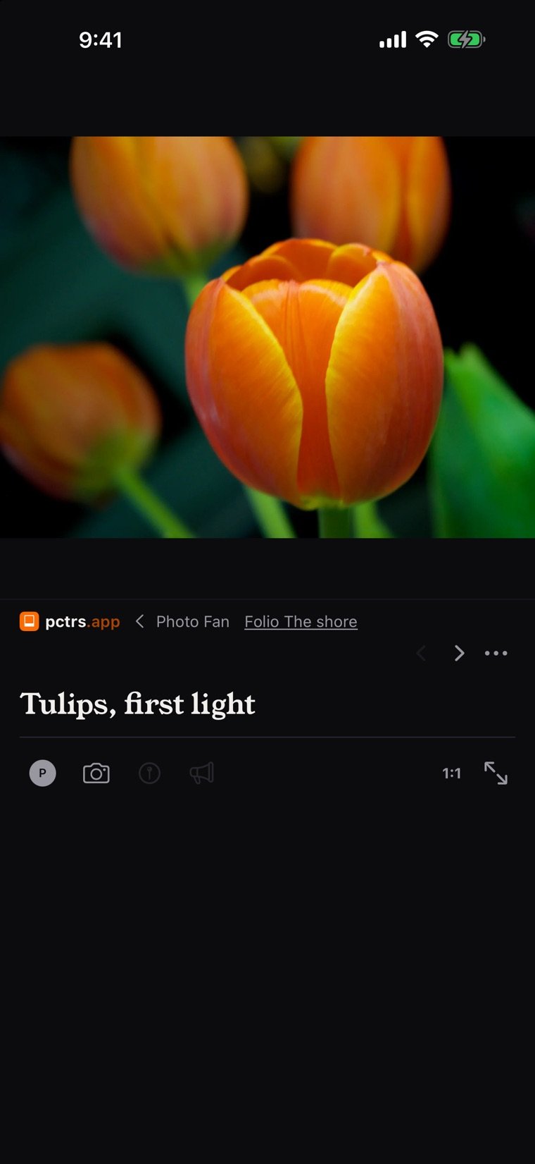 A photograph in the pctrs app